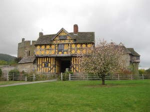 Stokesay 10