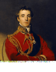 The Duke of Wellington