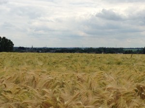 The ridge where the French cannons were positioned to fire down on the village of Lingy