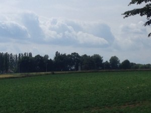 These were fields most of the fighting took place with in in the Battle of Quatre-Bras
